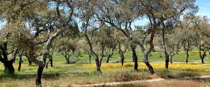 The Best of Portugal with ZagrebTours